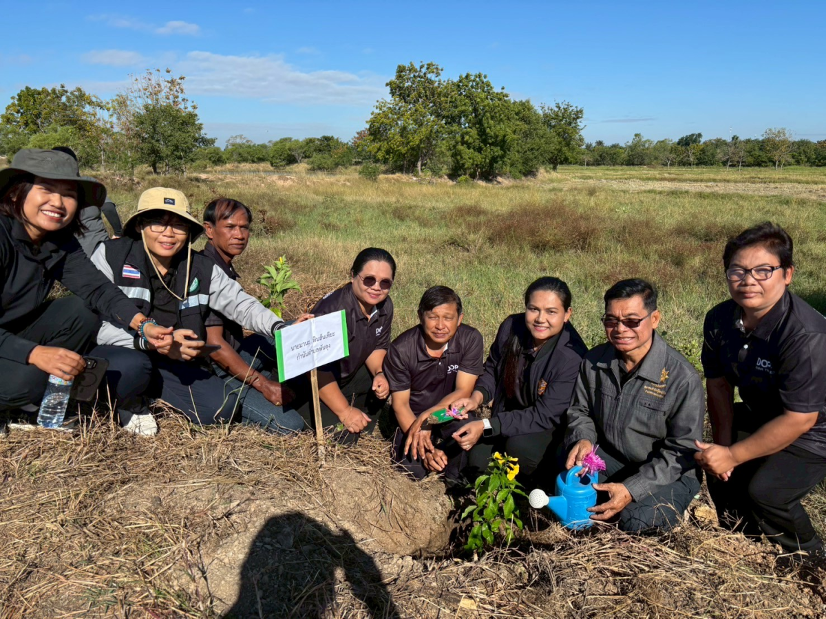 โครงการปลูกต้นไม้เฉลิมพระเกียรติ และวันสำคัญ  เนื่องในวันคล้ายวันพระบรมราชสมภพ พระบาทสมเด็จพระบรมชนกาธิเบศร มหาภูมิพลอดุลยเดชมหาราช  บรมนาถบพิตร และวันพ่อแห่งชาติ 5 ธันวาคม 2568 ของเทศบาลตำบลพันดุง อำเภอขามทะเลสอ จังหวัดนครราชสีมา
