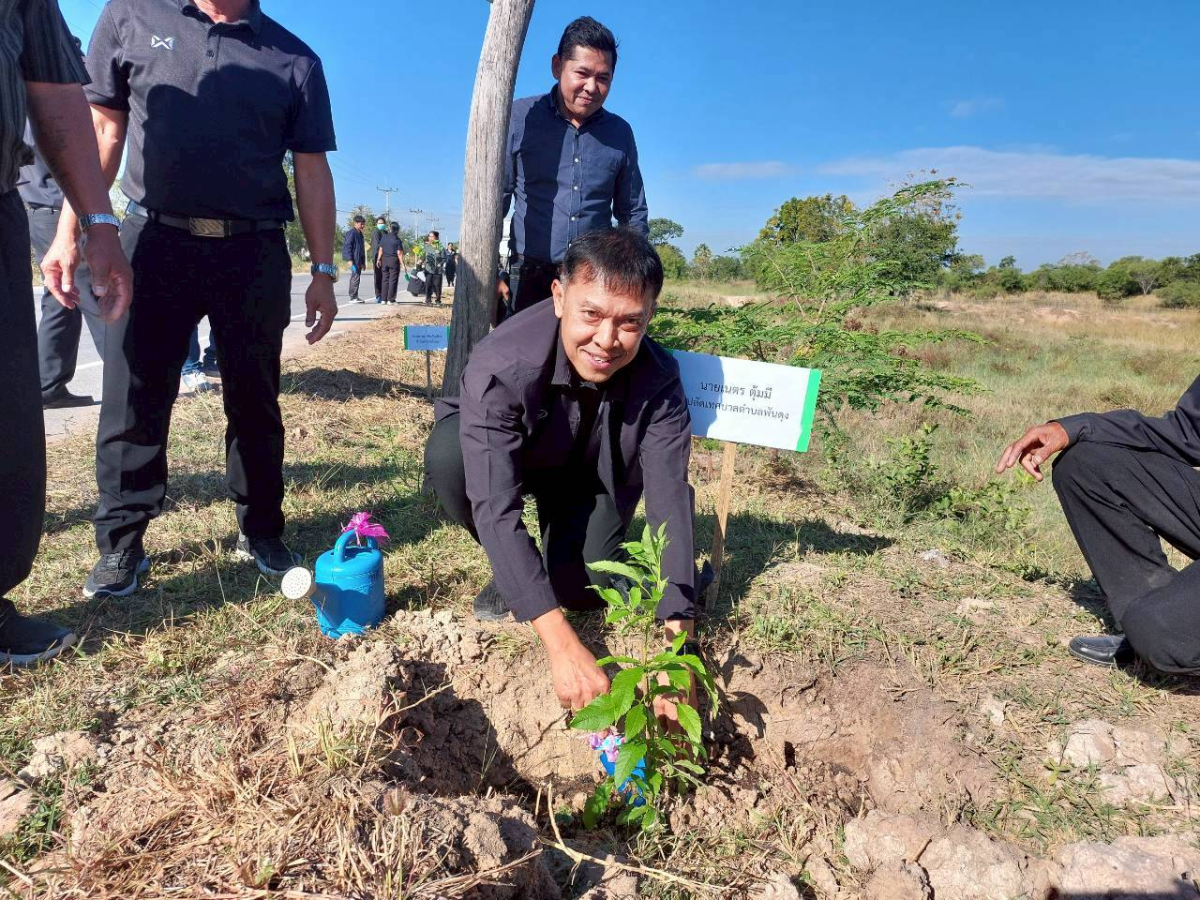 โครงการปลูกต้นไม้เฉลิมพระเกียรติ และวันสำคัญ  เนื่องในวันคล้ายวันพระบรมราชสมภพ พระบาทสมเด็จพระบรมชนกาธิเบศร มหาภูมิพลอดุลยเดชมหาราช  บรมนาถบพิตร และวันพ่อแห่งชาติ 5 ธันวาคม 2568 ของเทศบาลตำบลพันดุง อำเภอขามทะเลสอ จังหวัดนครราชสีมา