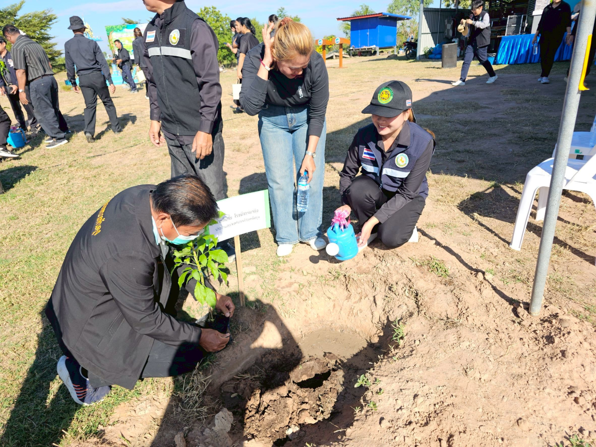 โครงการปลูกต้นไม้เฉลิมพระเกียรติ และวันสำคัญ  เนื่องในวันคล้ายวันพระบรมราชสมภพ พระบาทสมเด็จพระบรมชนกาธิเบศร มหาภูมิพลอดุลยเดชมหาราช  บรมนาถบพิตร และวันพ่อแห่งชาติ 5 ธันวาคม 2568 ของเทศบาลตำบลพันดุง อำเภอขามทะเลสอ จังหวัดนครราชสีมา