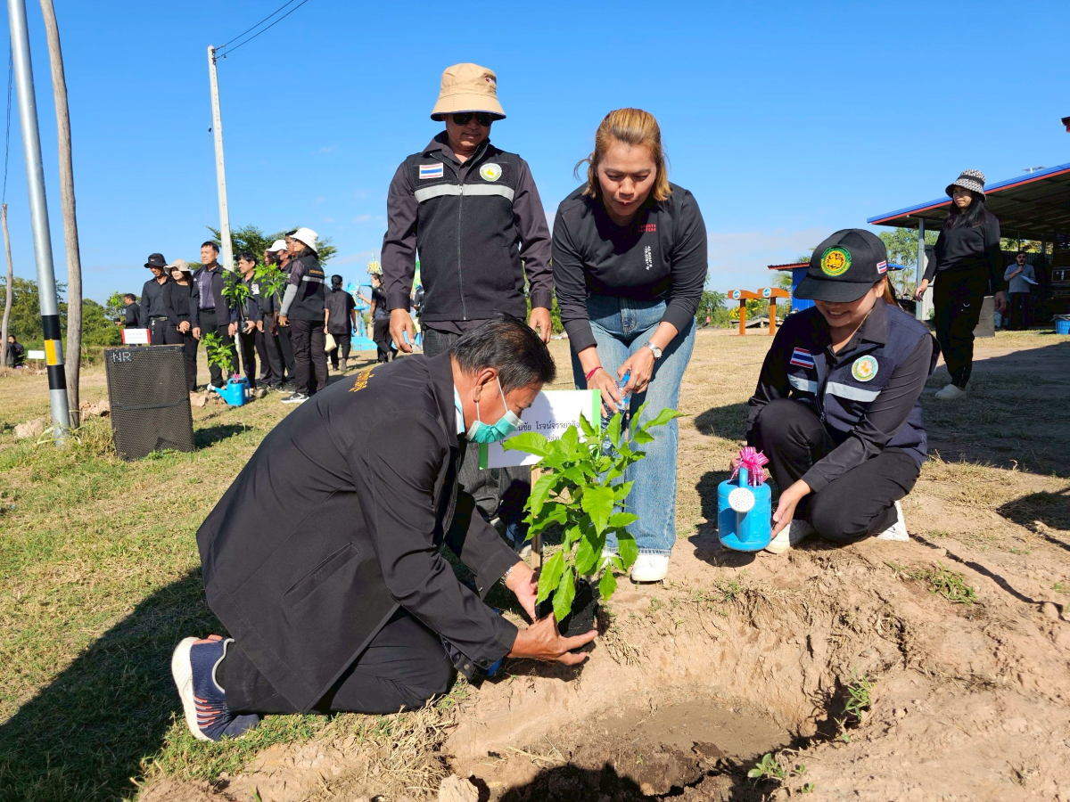 โครงการปลูกต้นไม้เฉลิมพระเกียรติ และวันสำคัญ  เนื่องในวันคล้ายวันพระบรมราชสมภพ พระบาทสมเด็จพระบรมชนกาธิเบศร มหาภูมิพลอดุลยเดชมหาราช  บรมนาถบพิตร และวันพ่อแห่งชาติ 5 ธันวาคม 2568 ของเทศบาลตำบลพันดุง อำเภอขามทะเลสอ จังหวัดนครราชสีมา