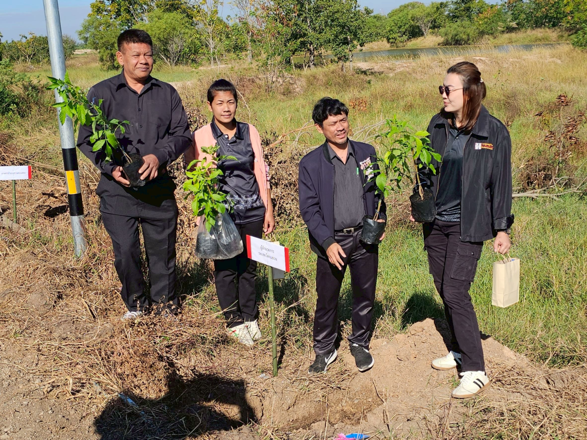 โครงการปลูกต้นไม้เฉลิมพระเกียรติ และวันสำคัญ  เนื่องในวันคล้ายวันพระบรมราชสมภพ พระบาทสมเด็จพระบรมชนกาธิเบศร มหาภูมิพลอดุลยเดชมหาราช  บรมนาถบพิตร และวันพ่อแห่งชาติ 5 ธันวาคม 2568 ของเทศบาลตำบลพันดุง อำเภอขามทะเลสอ จังหวัดนครราชสีมา