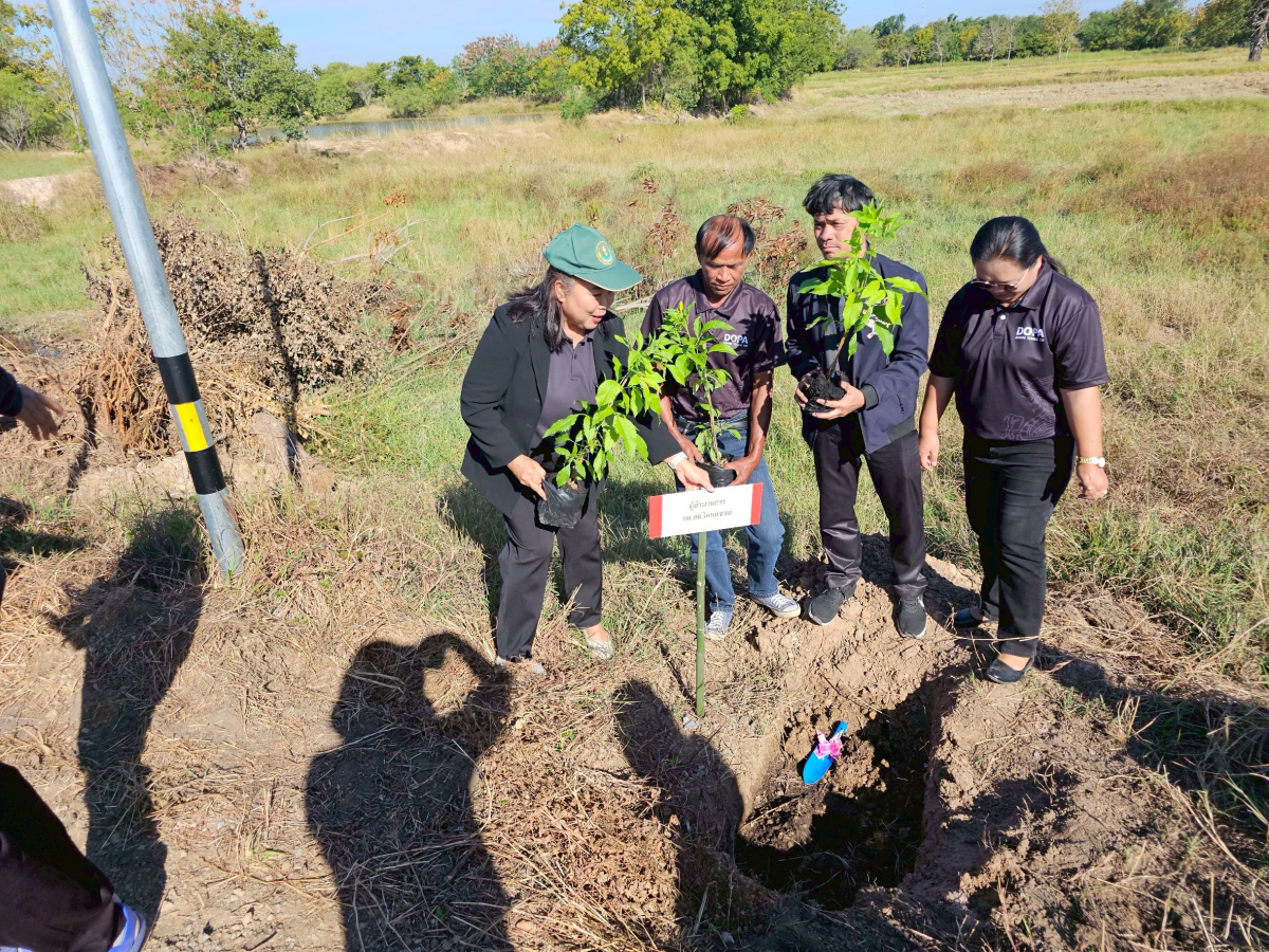 โครงการปลูกต้นไม้เฉลิมพระเกียรติ และวันสำคัญ  เนื่องในวันคล้ายวันพระบรมราชสมภพ พระบาทสมเด็จพระบรมชนกาธิเบศร มหาภูมิพลอดุลยเดชมหาราช  บรมนาถบพิตร และวันพ่อแห่งชาติ 5 ธันวาคม 2568 ของเทศบาลตำบลพันดุง อำเภอขามทะเลสอ จังหวัดนครราชสีมา