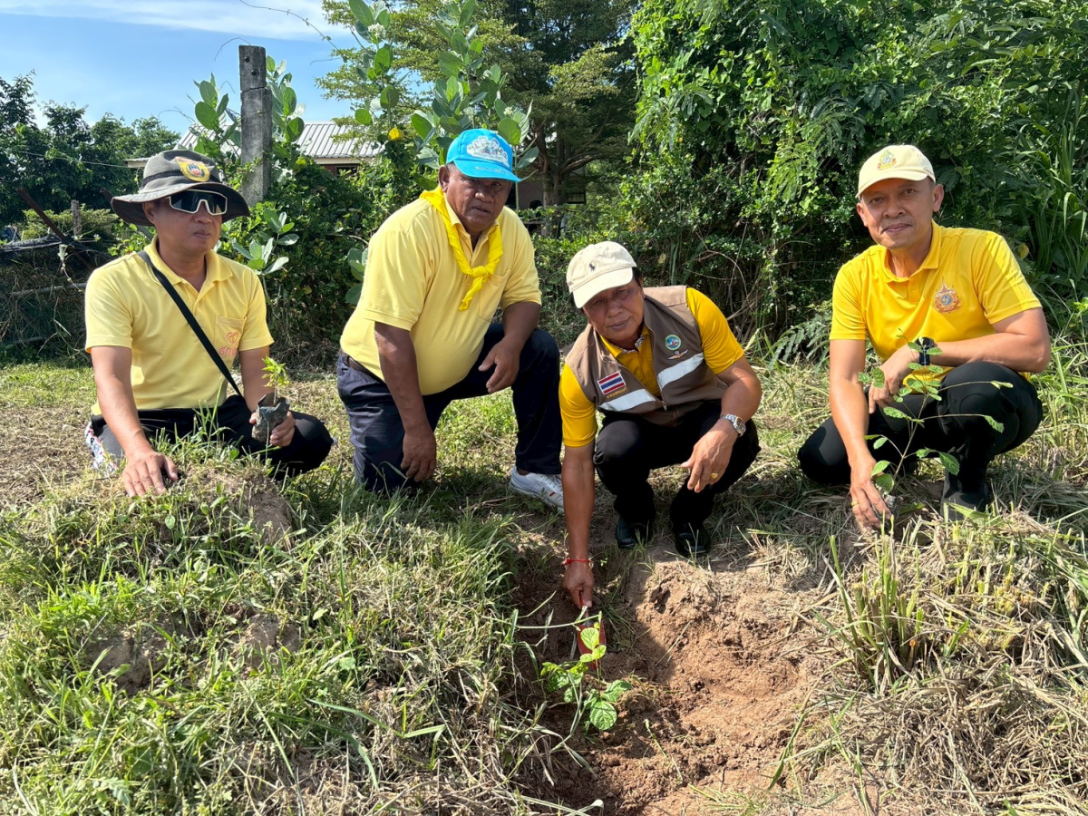 เทศบาลตำบลพันดุงดำเนินกิจกรรม “วันต้นไม้ประจำปีของชาติ” ประจำปี  พ.ศ.2569