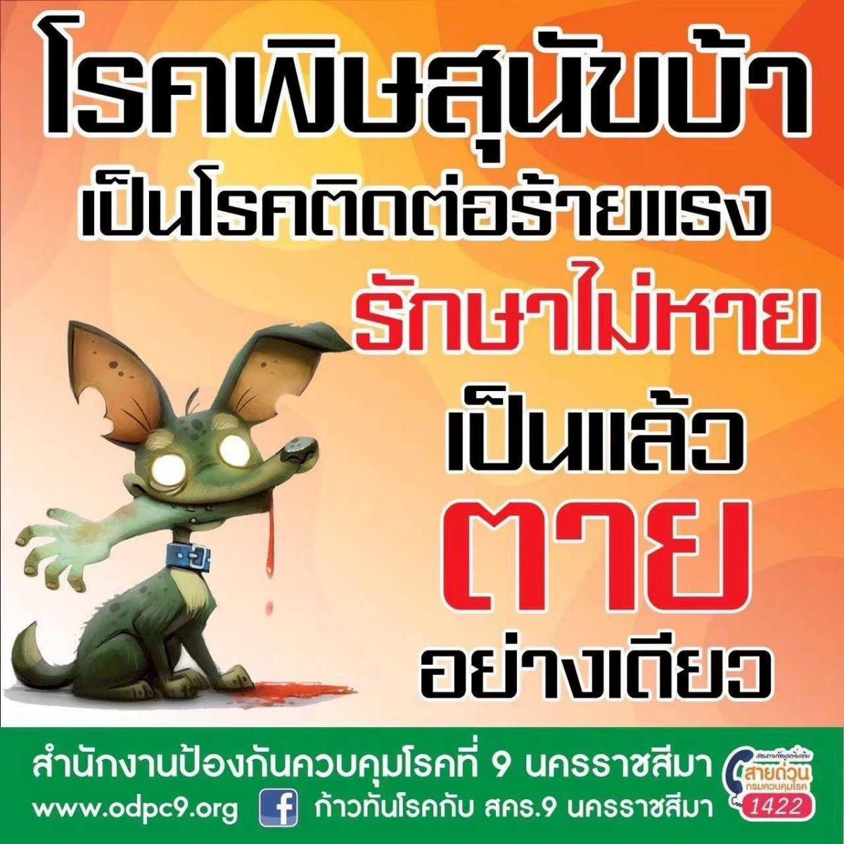 กองสาธารณสุขและสิ่งแวดล้อม  ขอประชาสัมพันธ์ เรื่อง โรคพิษสุนัขบ้า #โรคพิษสุนัขบ้ารักษาไม่หายเป็นแล้วตายอย่างเดียว