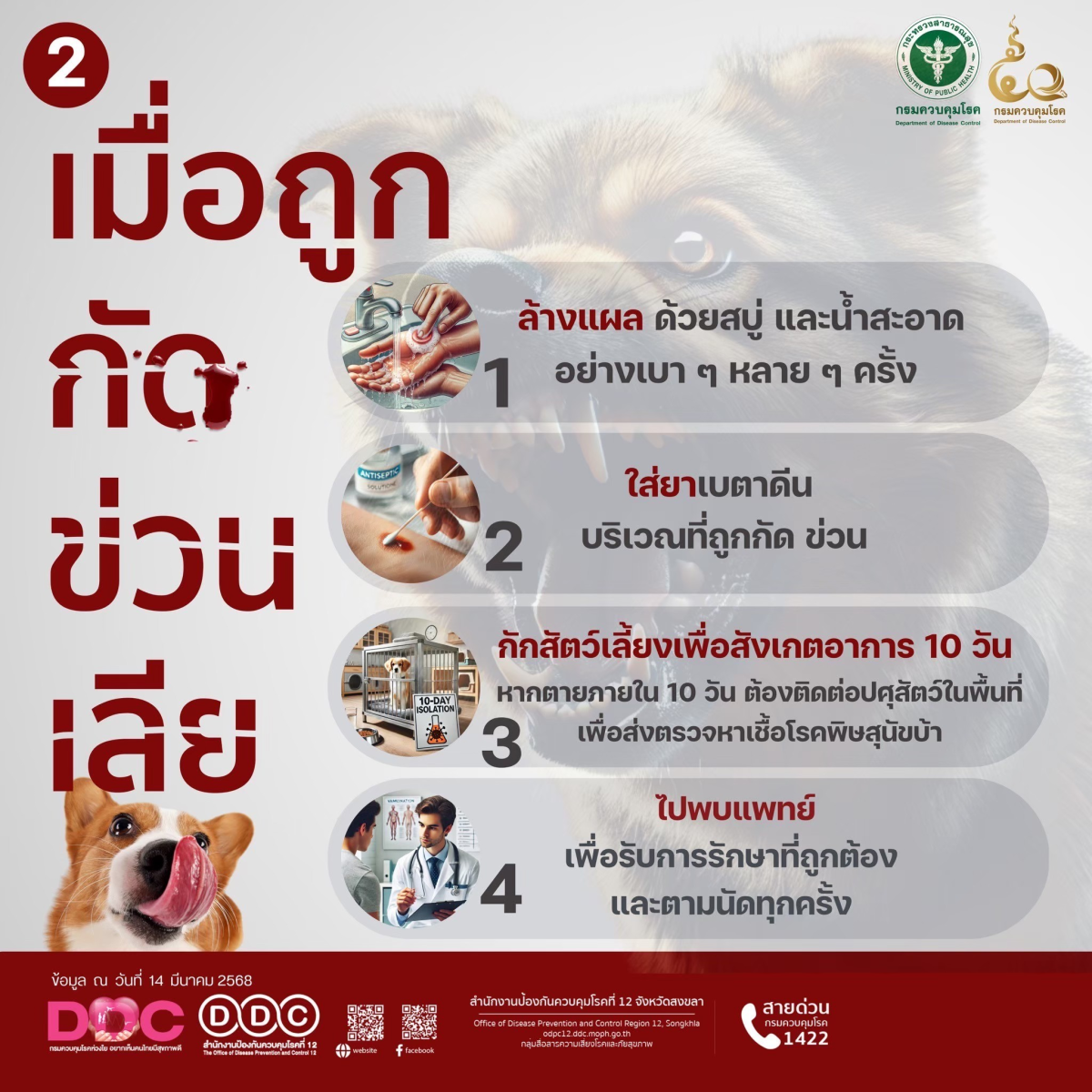 กองสาธารณสุขและสิ่งแวดล้อม  ขอประชาสัมพันธ์ เรื่อง โรคพิษสุนัขบ้า #โรคพิษสุนัขบ้ารักษาไม่หายเป็นแล้วตายอย่างเดียว