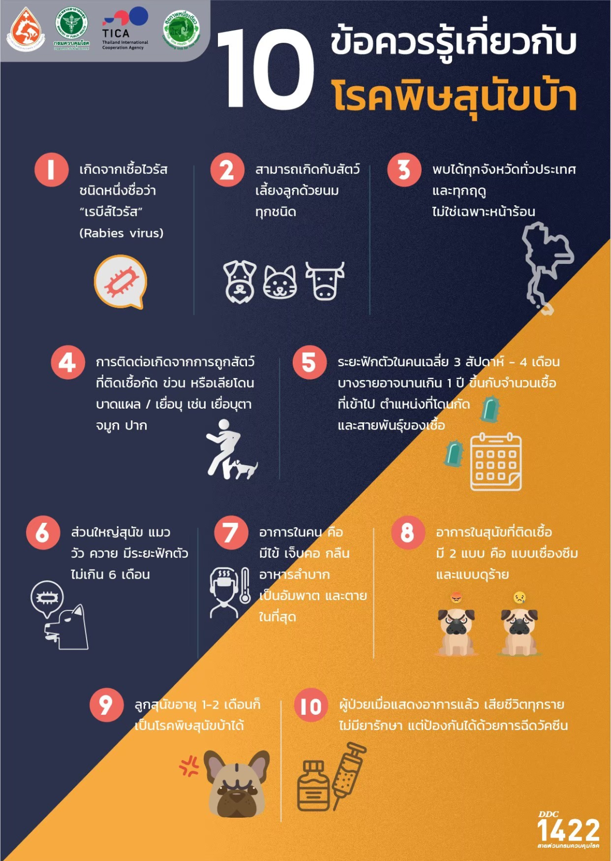 กองสาธารณสุขและสิ่งแวดล้อม  ขอประชาสัมพันธ์ เรื่อง โรคพิษสุนัขบ้า #โรคพิษสุนัขบ้ารักษาไม่หายเป็นแล้วตายอย่างเดียว